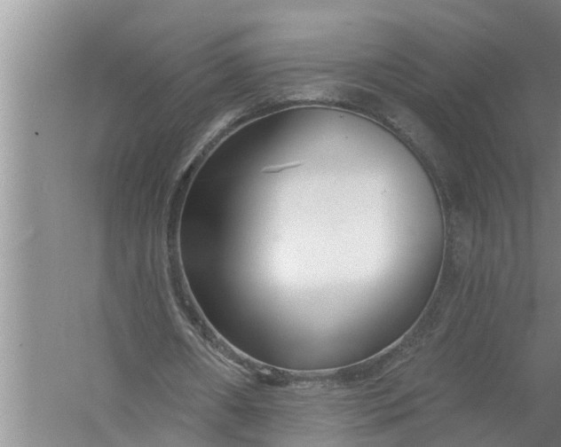 X0000058120482200510071943