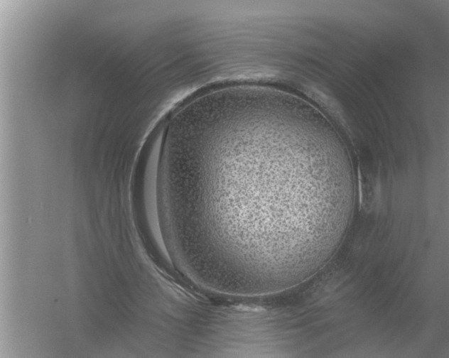 X0000058120483200510071943