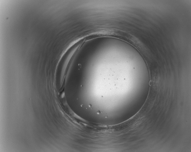 X0000058120484200510071943