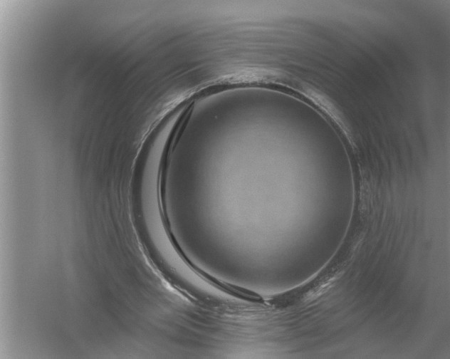 X0000058120485200510071943