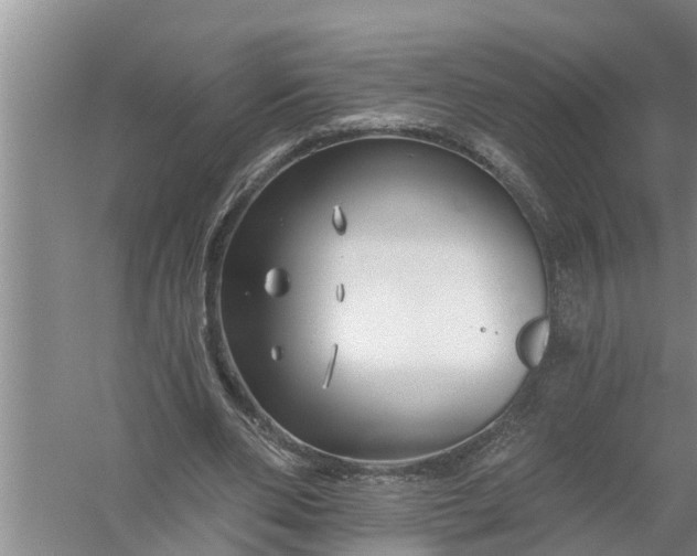 X0000058120486200510071943