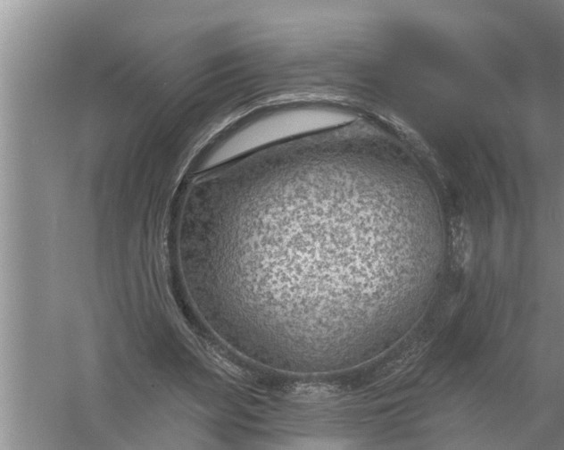 X0000058120487200510071943