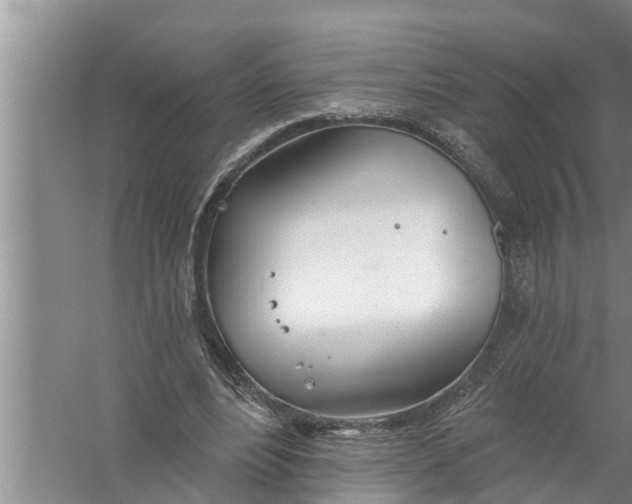 X0000058120488200510071943