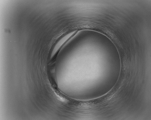 X0000058120489200510071943