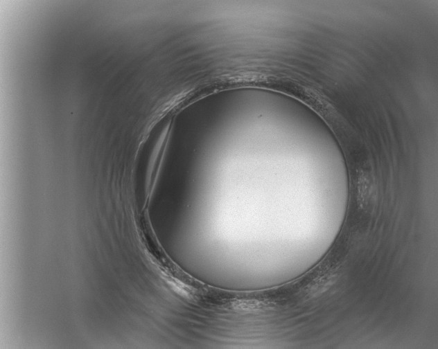 X0000058120490200510071943