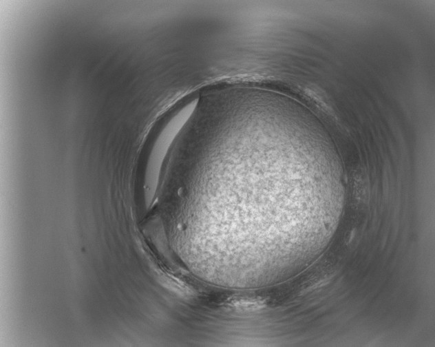 X0000058120491200510071943