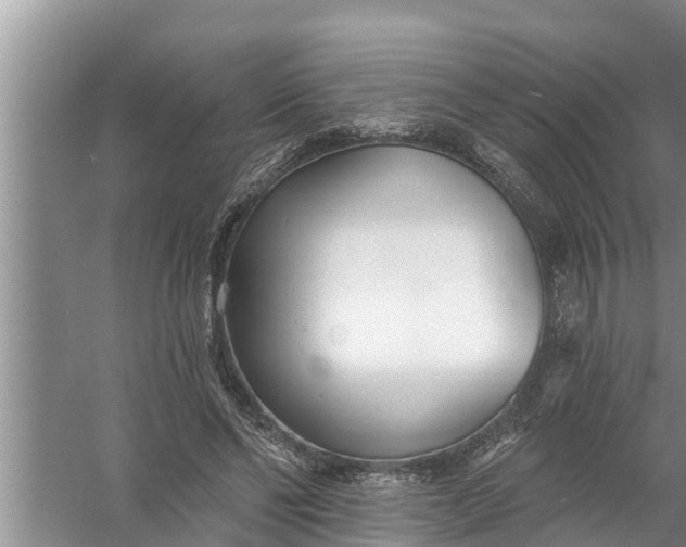 X0000058120494200510071943