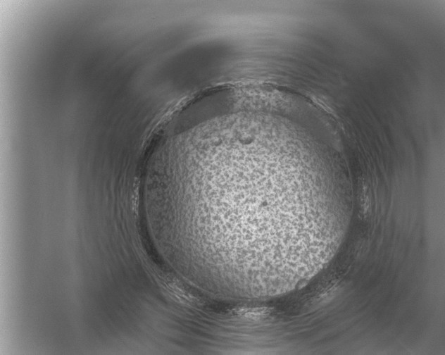 X0000058120495200510071943