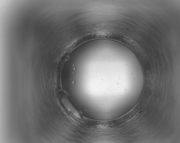 X0000058120496200510071943