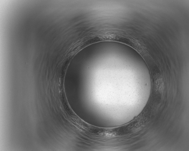 X0000058120498200510071943