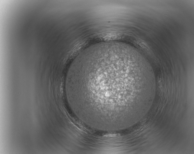 X0000058120499200510071943