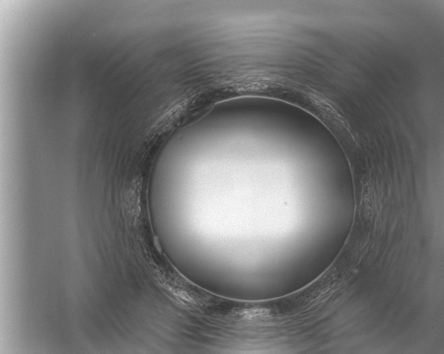 X0000058120501200510071943