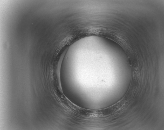 X0000058120504200510071943