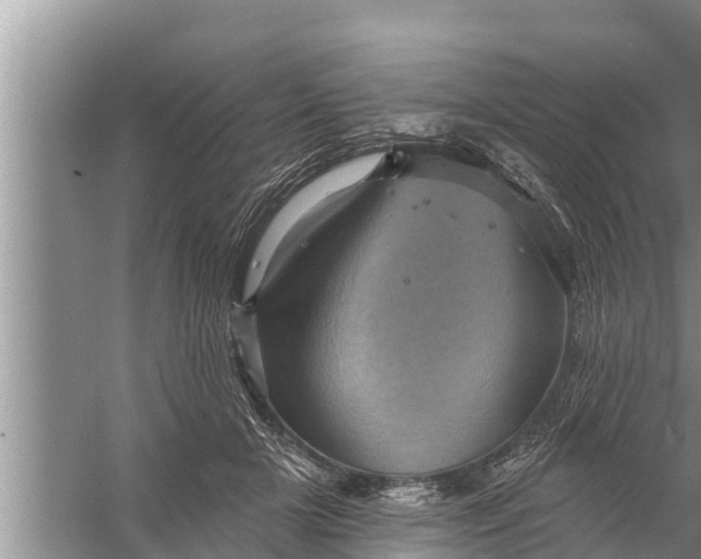 X0000058120505200510071943