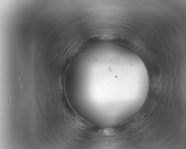 X0000058120506200510071943