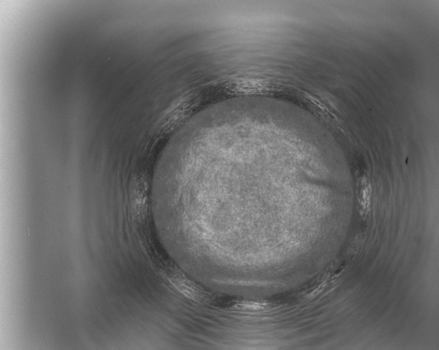 X0000058120507200510071943