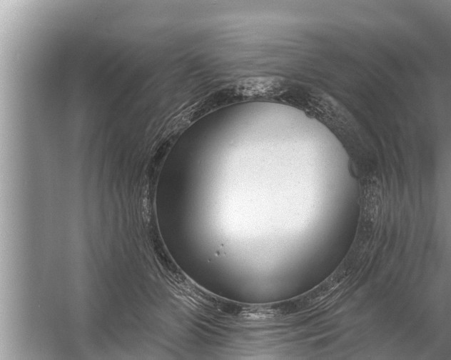 X0000058120510200510071943