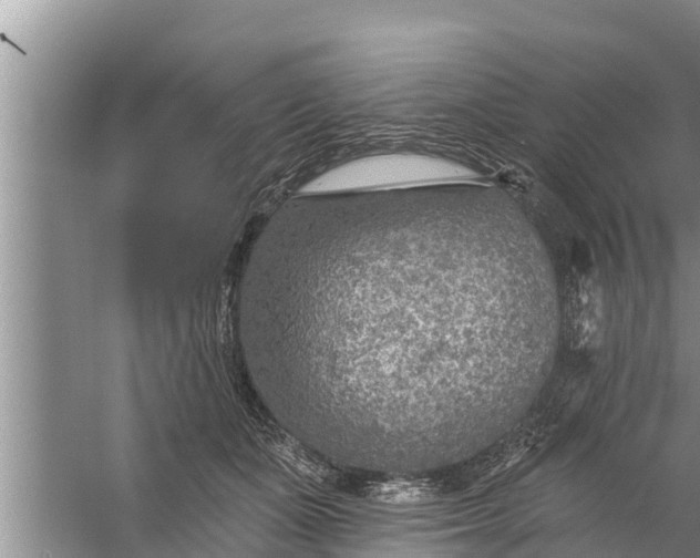 X0000058120511200510071943