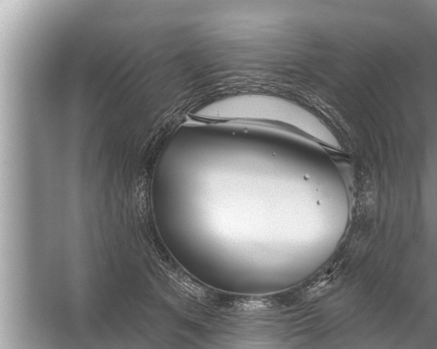 X0000058120513200510071943