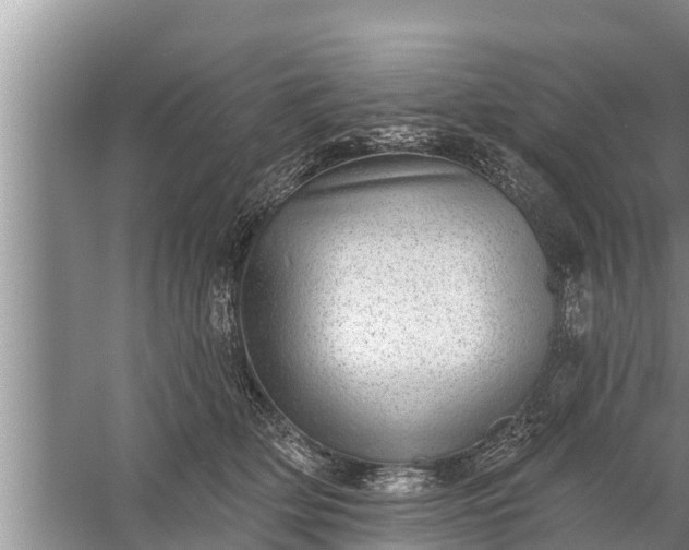 X0000058120514200510071943