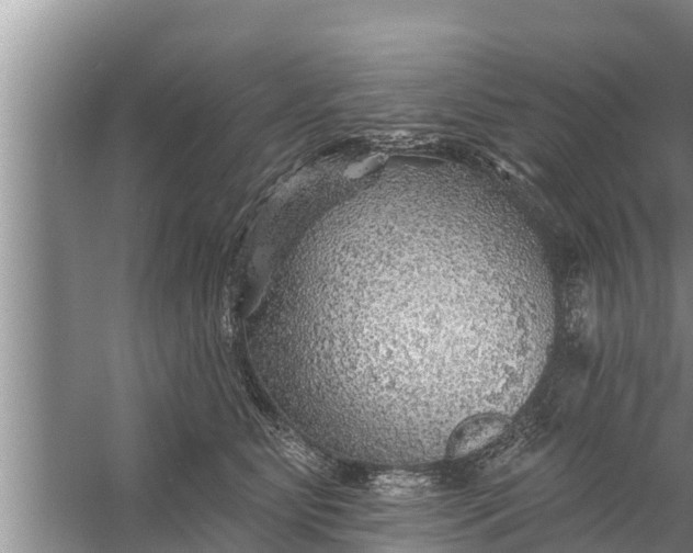 X0000058120515200510071943