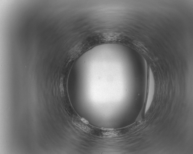 X0000058120516200510071942