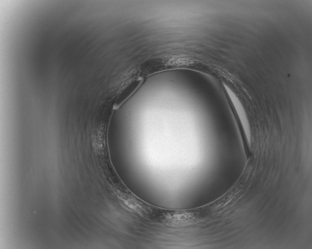 X0000058120517200510071942