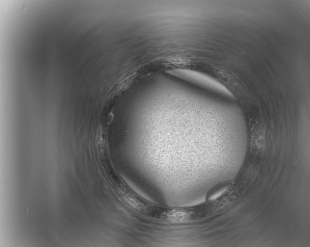 X0000058120518200510071942