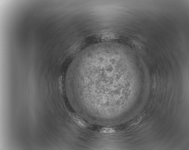 X0000058120519200510071942