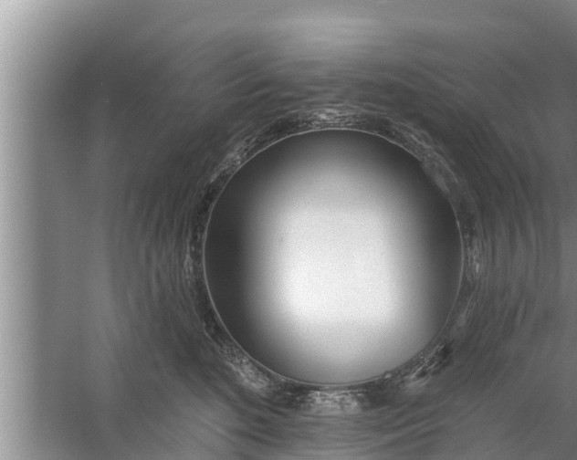 X0000058120520200510071942