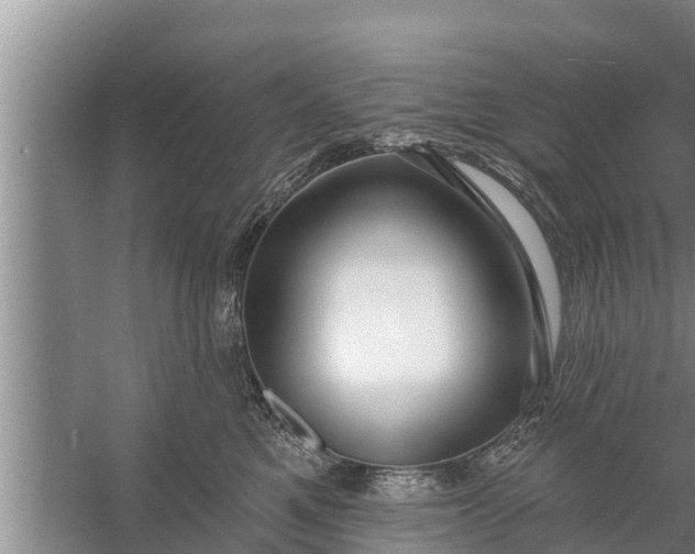 X0000058120521200510071942