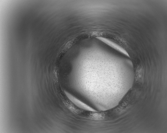 X0000058120522200510071942