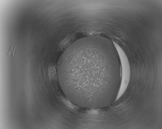 X0000058120523200510071942