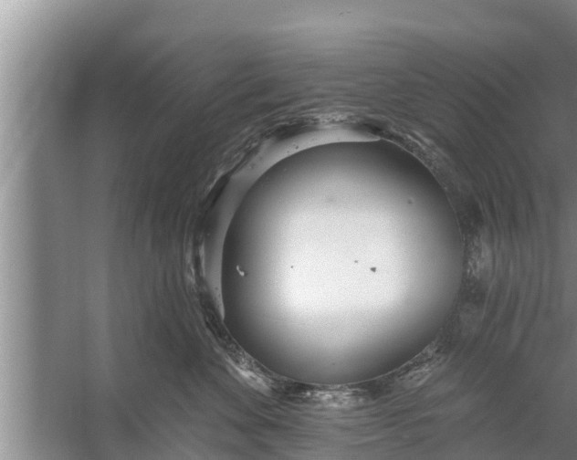 X0000058120524200510071942