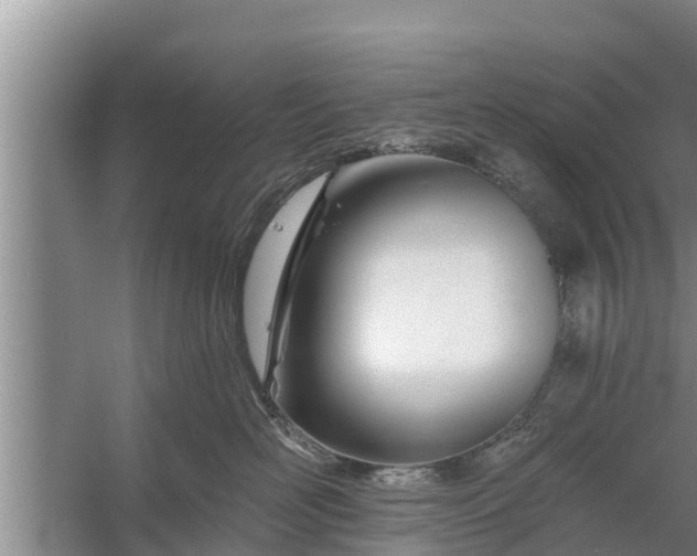 X0000058120526200510071942