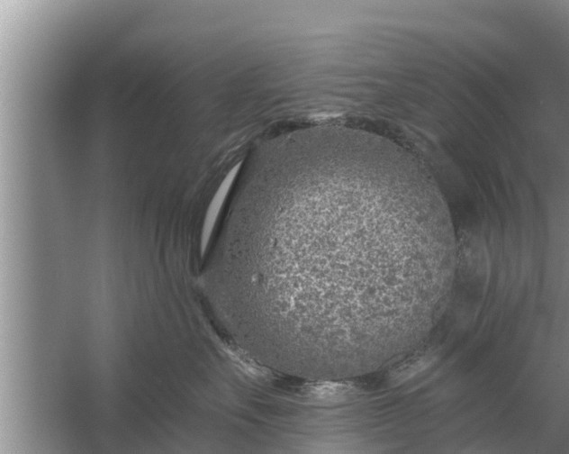 X0000058120527200510071942