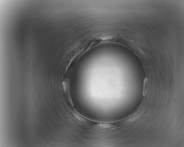 X0000058120528200510071942