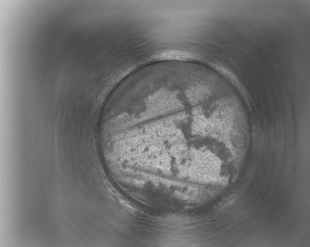 X0000058120529200510071941