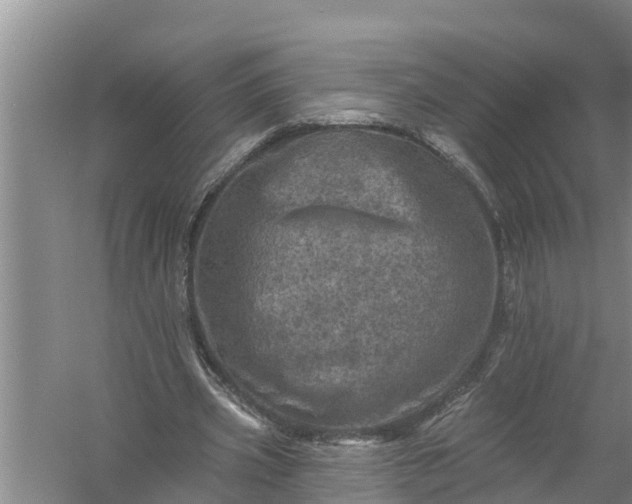 X0000058120533200510071942