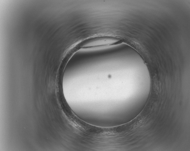 X0000058120536200510071942