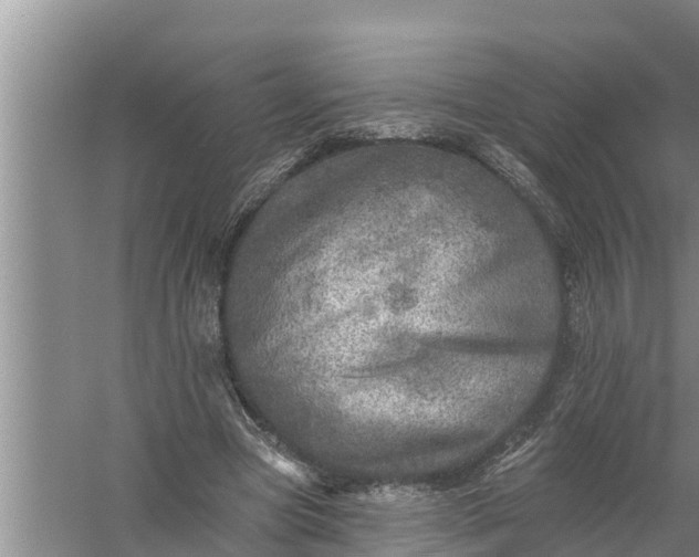 X0000058120537200510071942