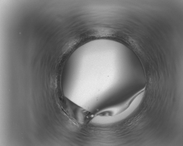 X0000058120539200510071942