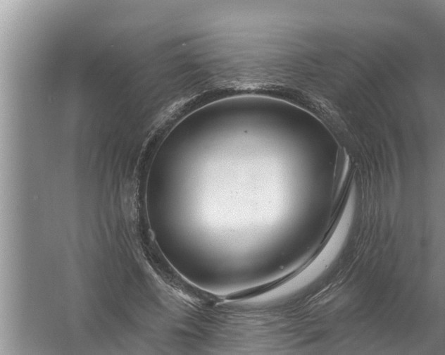 X0000058120540200510071942