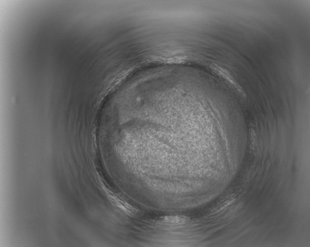 X0000058120541200510071942