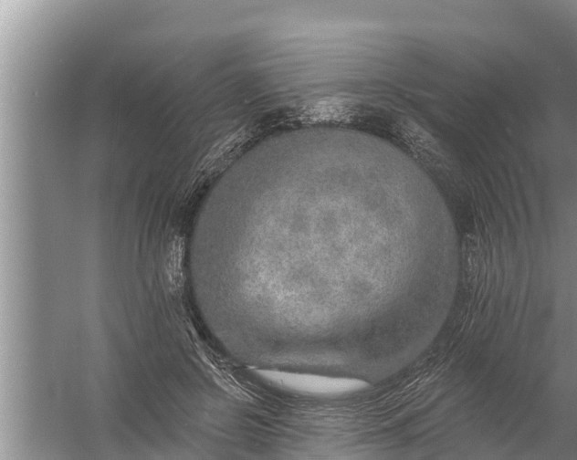 X0000058120550200510071942