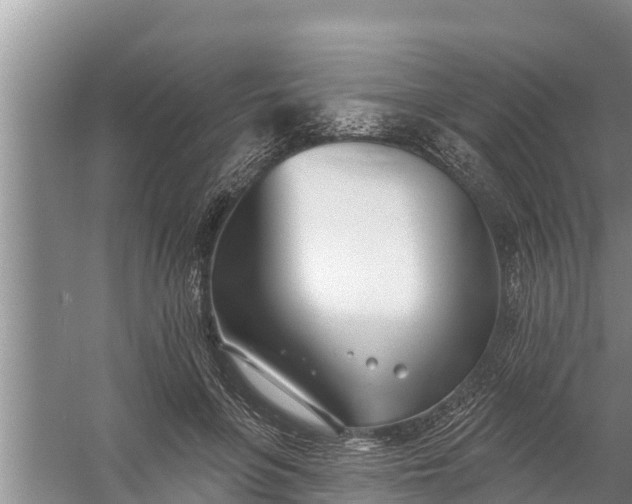 X0000058120551200510071942