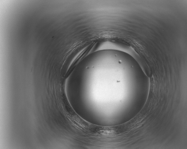 X0000058120552200510071942