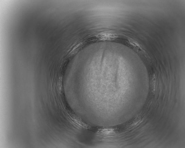 X0000058120554200510071942