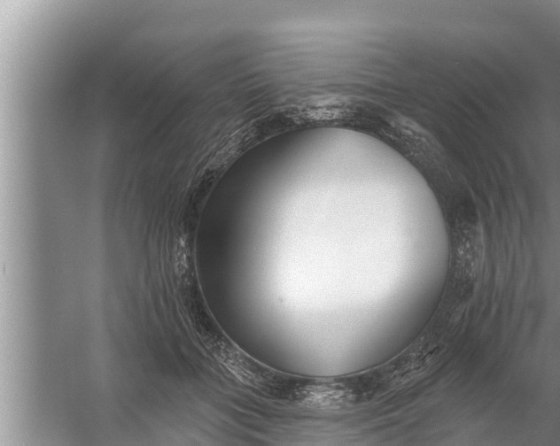 X0000058120555200510071942