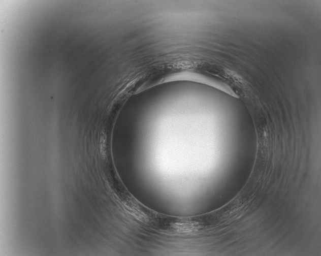 X0000058120556200510071942